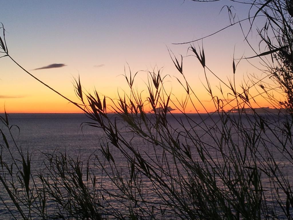 Agriturismo Gocce Di Luna Celle Ligure Bilik gambar