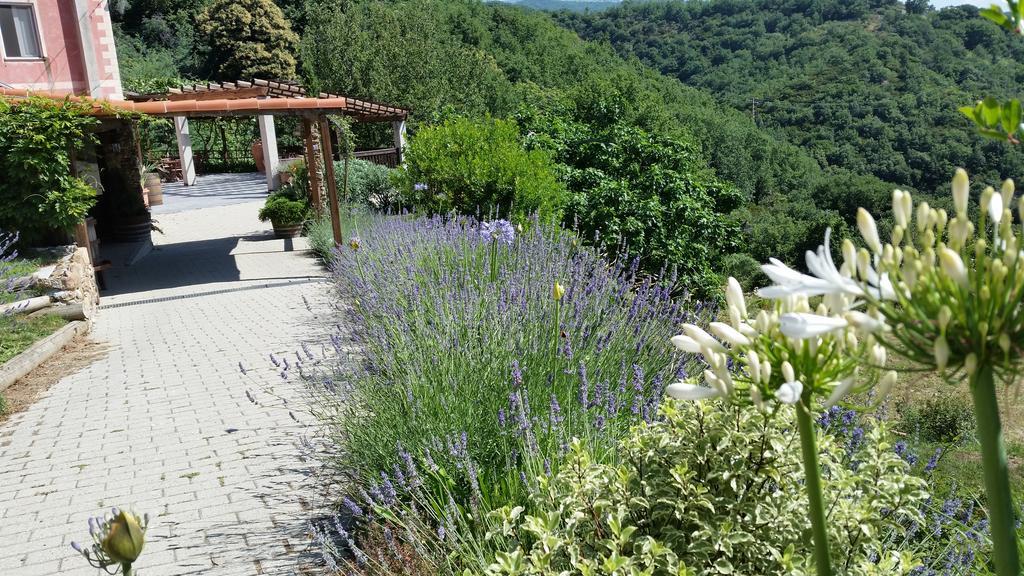 Agriturismo Gocce Di Luna Celle Ligure Luaran gambar