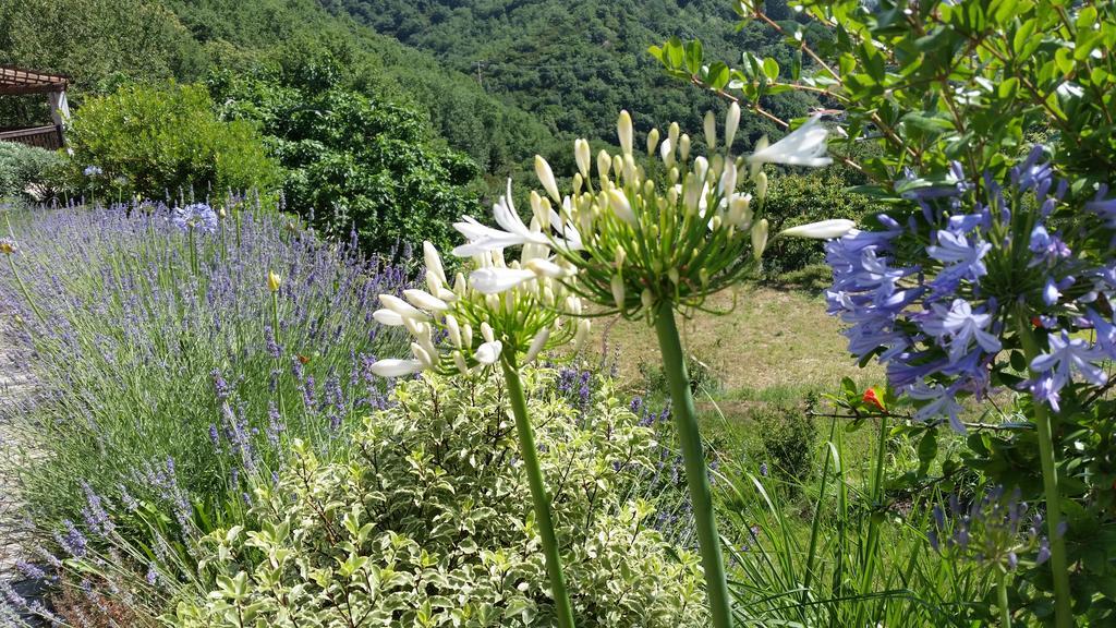 Agriturismo Gocce Di Luna Celle Ligure Luaran gambar