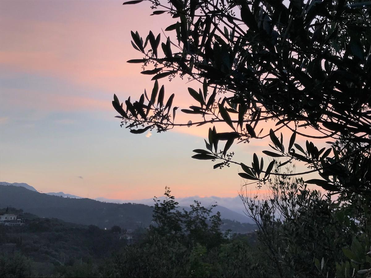 Agriturismo Gocce Di Luna Celle Ligure Luaran gambar