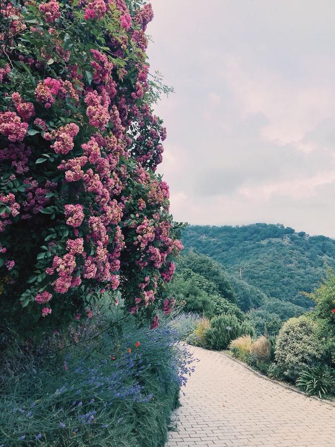 Agriturismo Gocce Di Luna Celle Ligure Luaran gambar